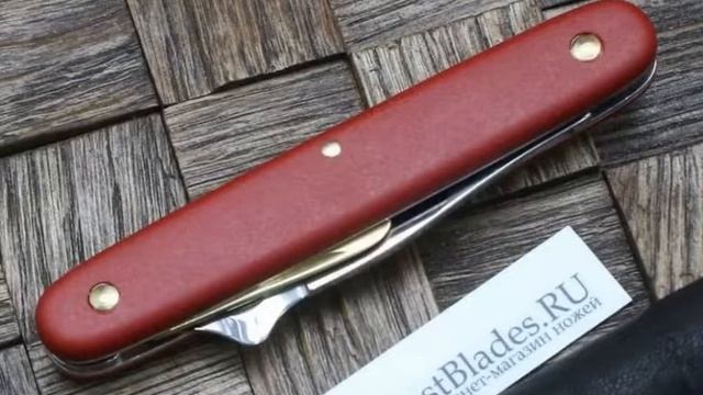Прививочный нож Victorinox 3.9140 смотреть онлайн