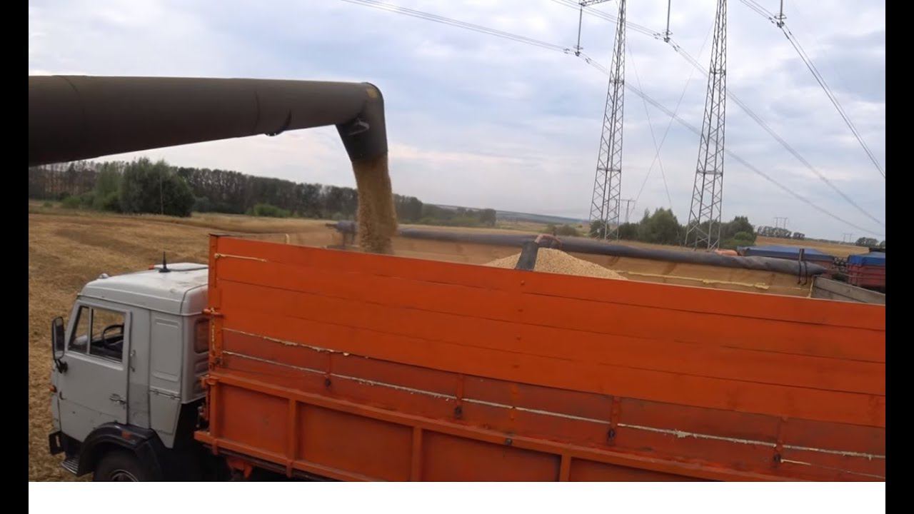 УБОРКА 2023 СЕРИЯ -1 ПОПАЛ ПОД ДОЖДЬ И ЛИХО БУКСОВАЛ ! смотреть онлайн