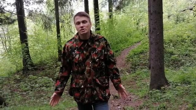 Историческое и литературное краеведение смотреть онлайн