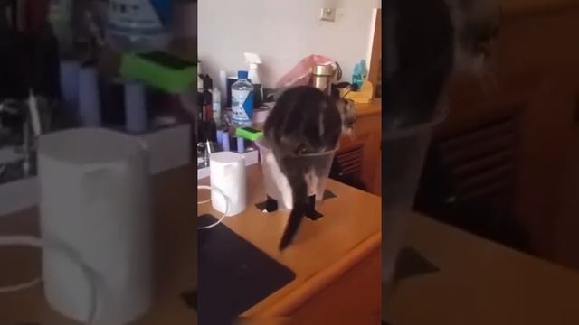 Дневной сон смотреть онлайн