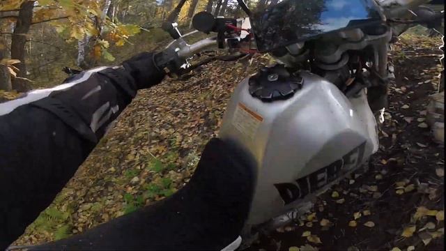 Лайтовый прохват по МПГ. Эндуро Самара 2022. #klx250 #drz400s #Kayo #motolend #djebel200 смотреть онлайн