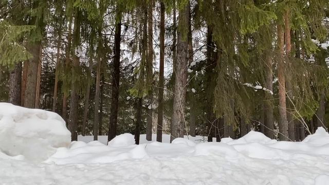 ДАВАЙ СЮДА ДЕНЬГИ, МНЕ НУЖНО КОЕ-ЧТО КУПИТЬ... | Истории из жизни. смотреть онлайн