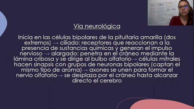 Sistemas sensoriales y percepción Daniela Vega Cruz смотреть онлайн