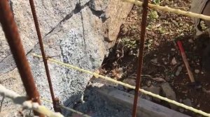 Фундамент или цветник