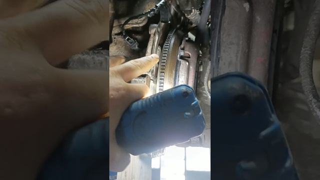 не заводится после замена мотора форд фокус 2 .0 смотреть онлайн