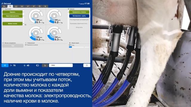 Преимущества направленного трафика и доения в роботе DeLaval VMS™ смотреть онлайн