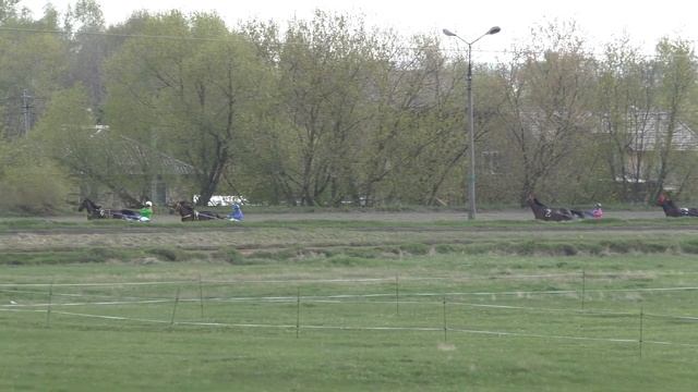 5 Раменский ипподром 07.05.2021 - Лошади рожд. 2018 г. рысистых пород смотреть онлайн