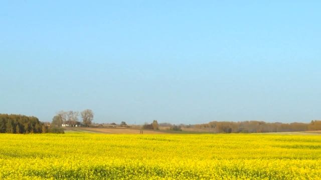 Россия - Великая Русь, Алтайский край смотреть онлайн
