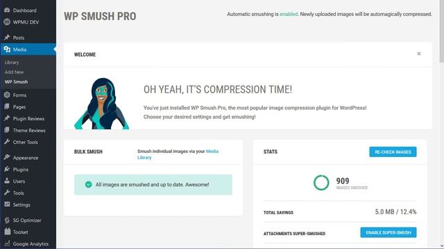 WPMU Smush Pro WordPress Plugin Review смотреть онлайн