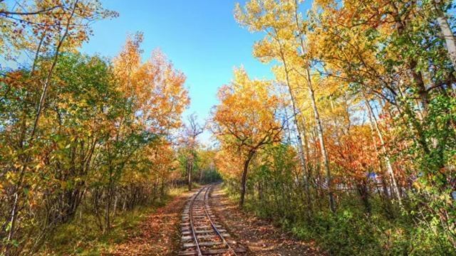 Сон об уходящем поезде смотреть онлайн