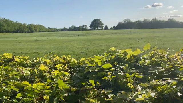 МАРИНА ИВАНОВА И БАНДА ХОЧЕТ ЕСТЬ В ДОМЕ ТУРЕЦКОГО PLAYBOY МИЛЛИОНЕРА #secretmaterials смотреть онлайн