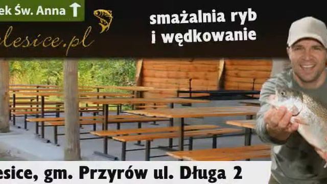 Zalesice ASLED смотреть онлайн