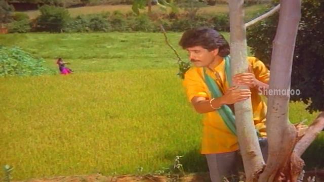 Janaki Ramudu Movie Video Songs  Chilaka Pachha Song  Nagarjuna  Vijayashanti  KV Mahadevan