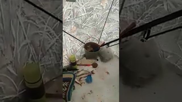Байкал Чивыркуйский залив! С 8 по 12 марта 2018 г. смотреть онлайн