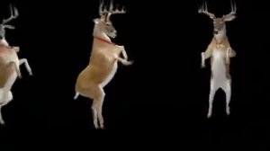 Олень танцует!!!