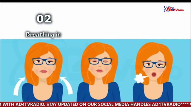 MEDAL FOR DOG OF WAR смотреть онлайн