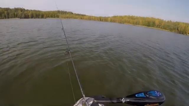 выход окуня на джиг ловля лайтом 7гр на Озере Псковская область рыбалка с лодки осенью смотреть онлайн