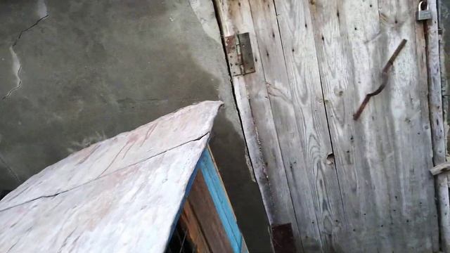 Обзор хозяйства, окролы, проблемы с кормами. смотреть онлайн
