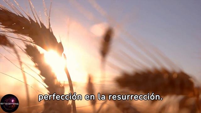 📍 "El apóstol Pablo y la adopción en el mundo romano antiguo” смотреть онлайн
