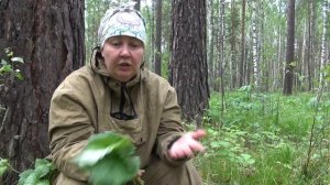 ВРЕМЯ ЗАГОТОВКИ МАТЬ - и МАЧЕХИ || Рецепты от травницы