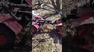 культивирование на мотоблоке УГРА, сидя на адаптере со снятым  приводом.