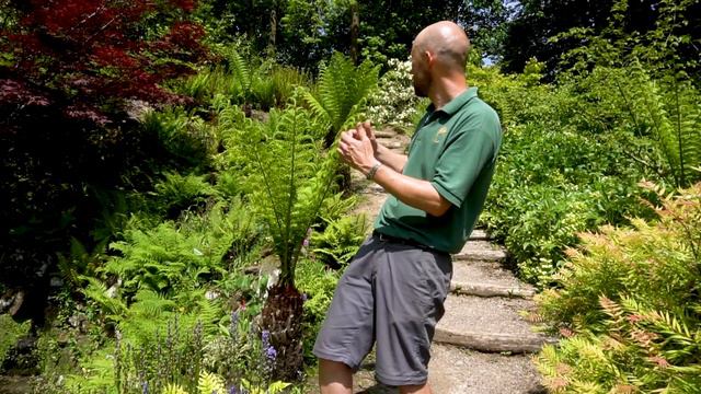 Virtual Tour of Cholmondeley Castle Gardens смотреть онлайн