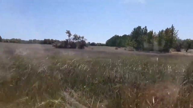 Новая Каховка, Днепряны, река Днепр, проезд на сухие плавни смотреть онлайн