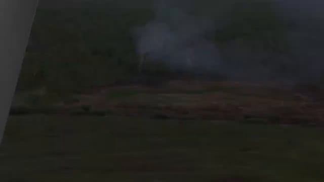 Пожар в лесу. Что надо знать каждому смотреть онлайн