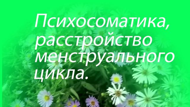 Психосоматика- расстройство менструального цикла смотреть онлайн