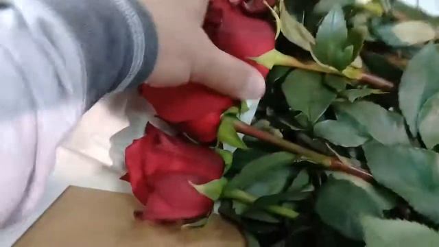 Открываем бончу Explorera на Эквадорской плантации роз смотреть онлайн