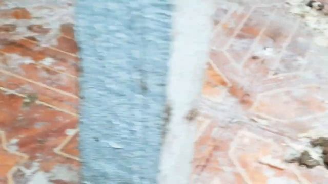 Уборка в индюшатнике .Голубые и лавандовые индюки! смотреть онлайн