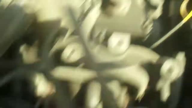 Работа двигателя 3С TOYOTA LITE ACE TRUCK смотреть онлайн