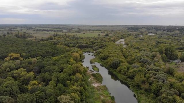 «Как Хопер ворону спас», проект «Карусель народных сказок» смотреть онлайн