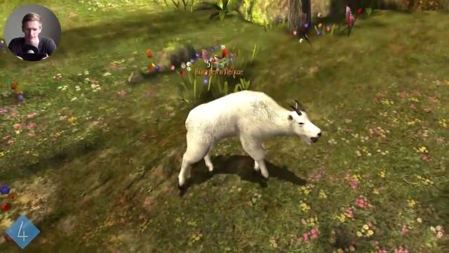 Обзор Deer Hunter 2014 (iOS, Android) смотреть онлайн