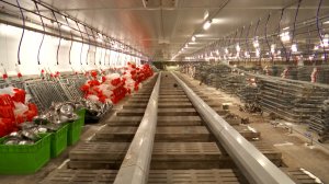 ФАКТЫ. Выпуск от 16.03.2023