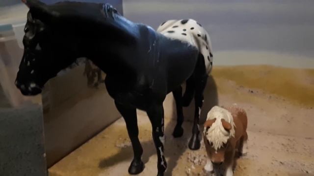 All about Falabella pony смотреть онлайн