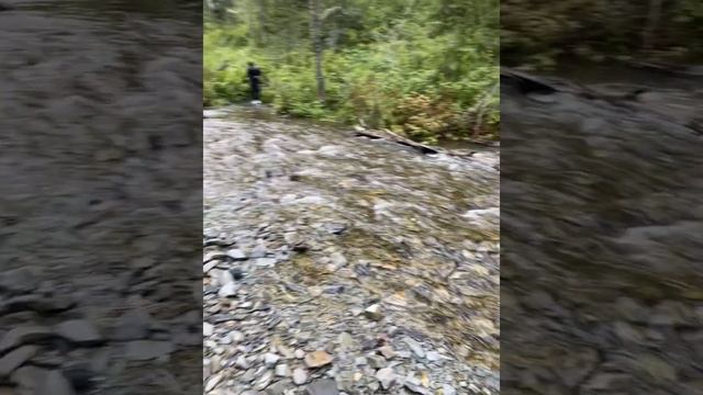 Каскад водопадов реки Шинок. Алтай. Часть 3 смотреть онлайн
