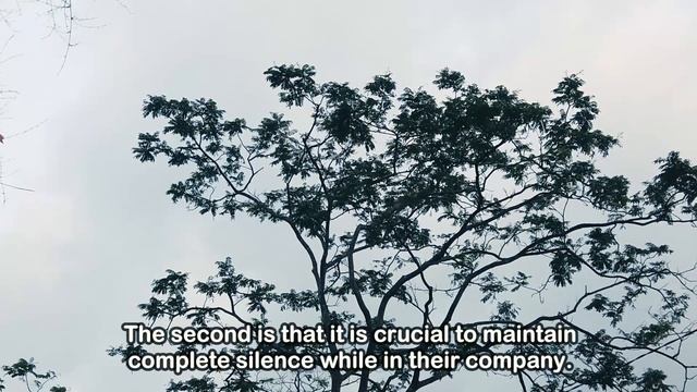 This Is How You Silence a Narcissist's Tricks and Take Control! You Must Watch This! | NPD | NARC | смотреть онлайн