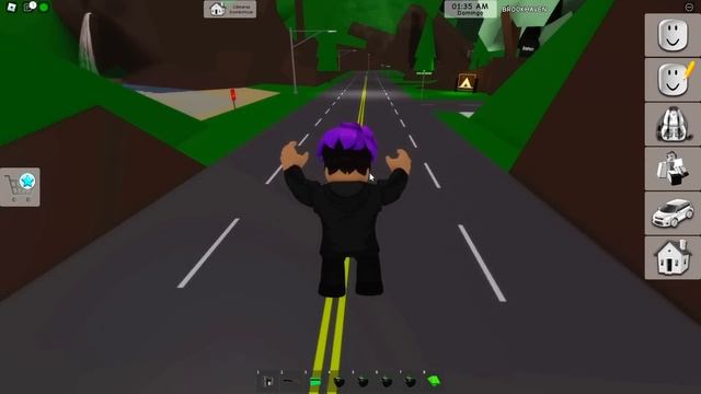 VIREI ADMIN no BROOKHAVEN POR 1 DIA смотреть онлайн