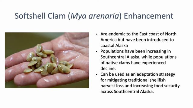 Overview of the Alutiiq Pride Marine Institute смотреть онлайн