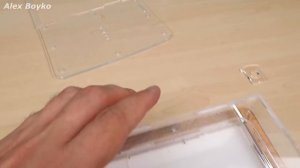 Что внутри Формикария? Все оказалось не так просто! alex boyko