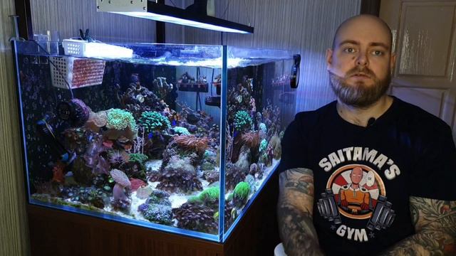 All for Reef. смотреть онлайн