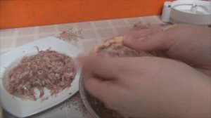 Литовские цеппелины