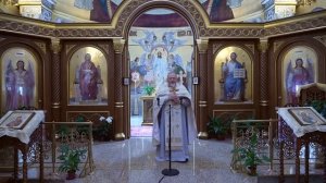Чудо? Вера! Проповедь священника Георгия Полякова в 4-ю неделю по Пятидесятнице.