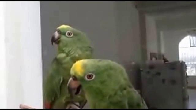 два артиста смотреть онлайн