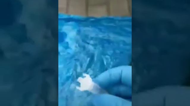 Китайцы тестируют овощи на пцр тест смотреть онлайн