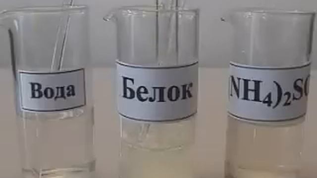 Ренатурация белка смотреть онлайн