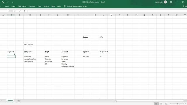 Oracle Functional Financials - EBS R12 Basic Tutorials - Tamil 4 смотреть онлайн