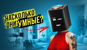 Как работают умные колонки? Какие в них существуют голосовые ассистенты? И как с ними обращаться?