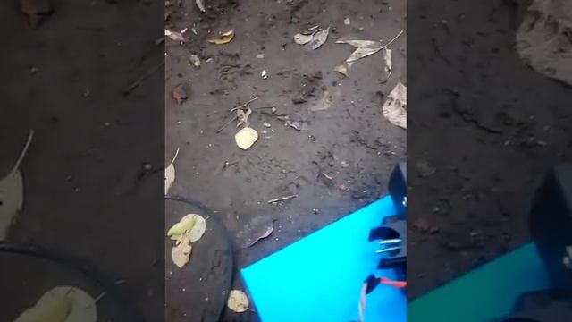 Правда о металлоискателе пират смотреть онлайн